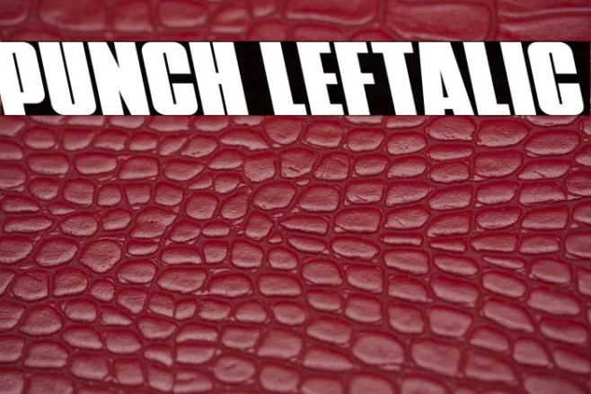 Punch Leftalic Example 3