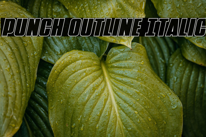 Punch Outline Italic Example 3