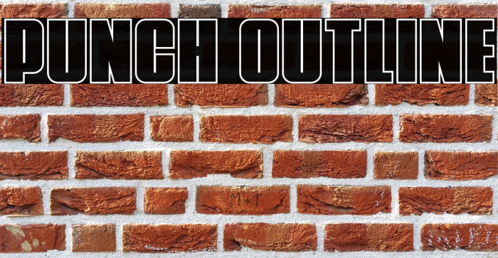 Punch Outline Example 1