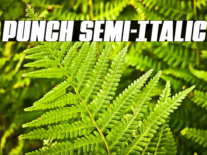 Punch Semi-Italic Example 1