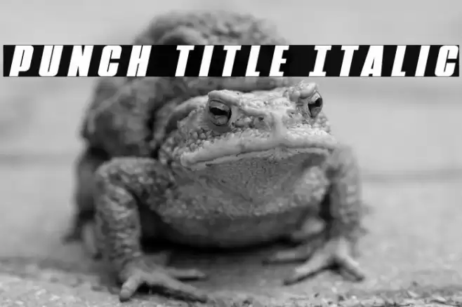 Punch Title Italic Font examples