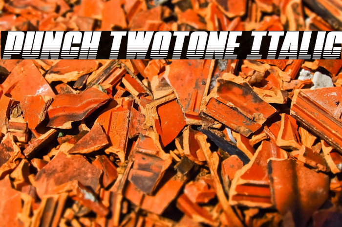 Punch Twotone Italic Example 1