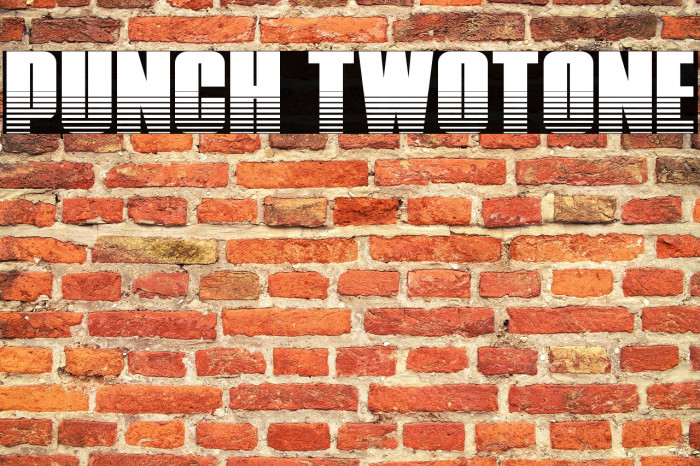 Punch Twotone Example 1