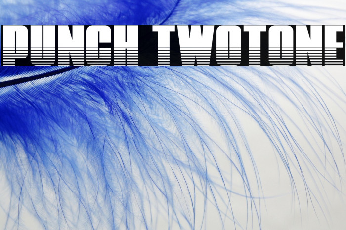 Punch Twotone Example 3