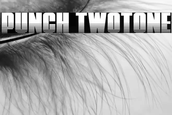 Punch Twotone Font examples