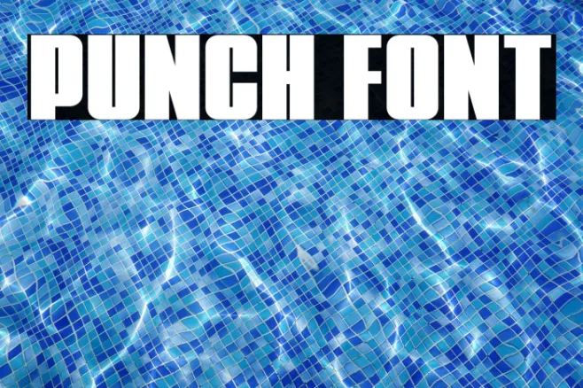 Punch Example 2