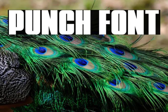 Punch Example 3