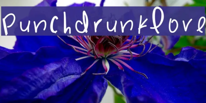PunchDrunkLove Example 3