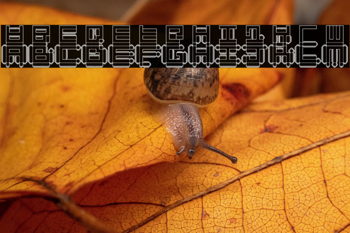 Punched Out Regular Example 2