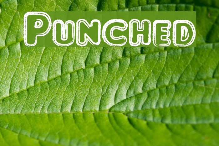Punched Font examples