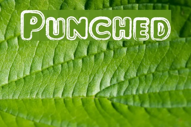 Punched Example 1