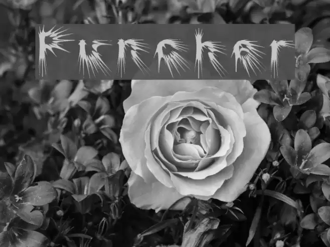 Puncher Font examples