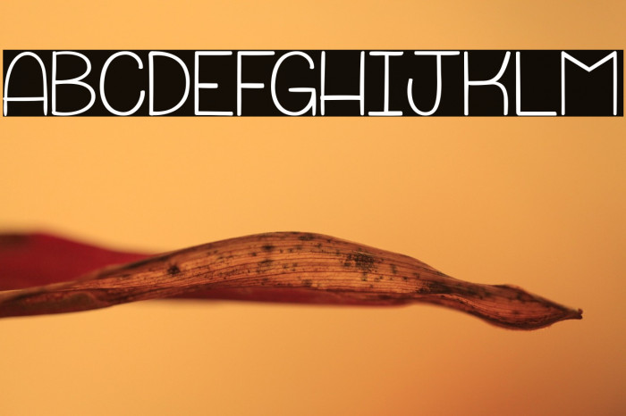 Punchline&Galimatias_PersonalUseOnly Example 1