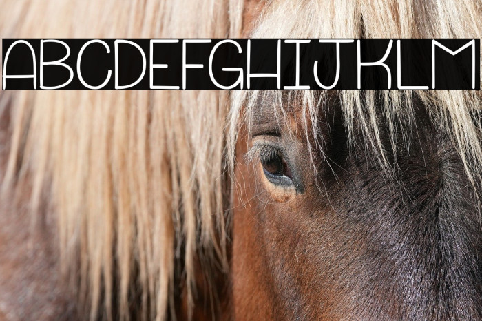 Punchline&Galimatias_PersonalUseOnly Example 2