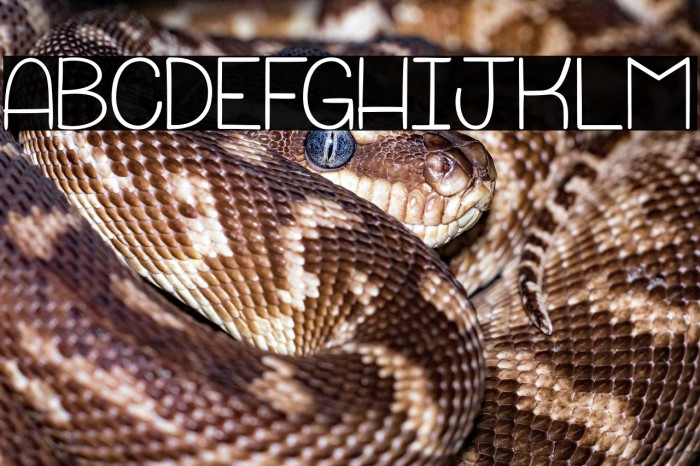 Punchline&Galimatias_PersonalUseOnly Example 3