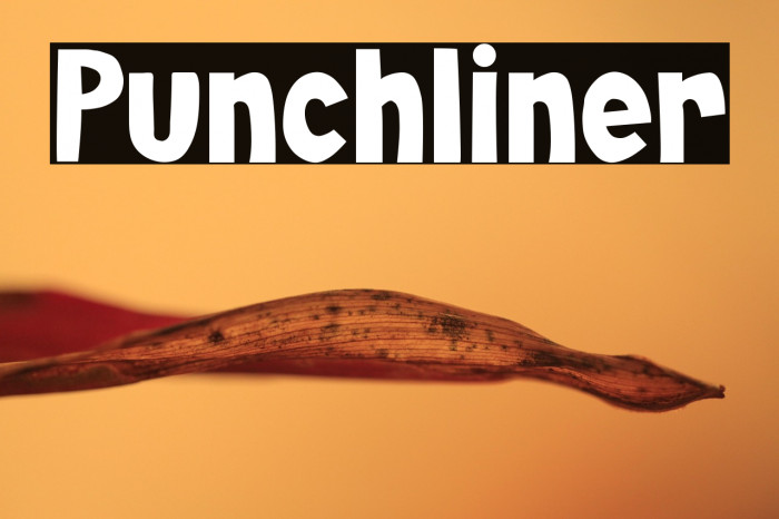 Punchliner Example 1