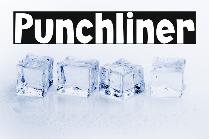 Punchliner Example 2