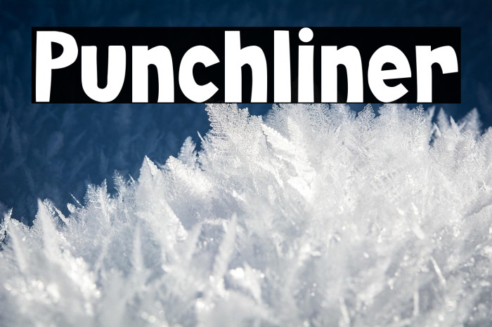 Punchliner Example 3