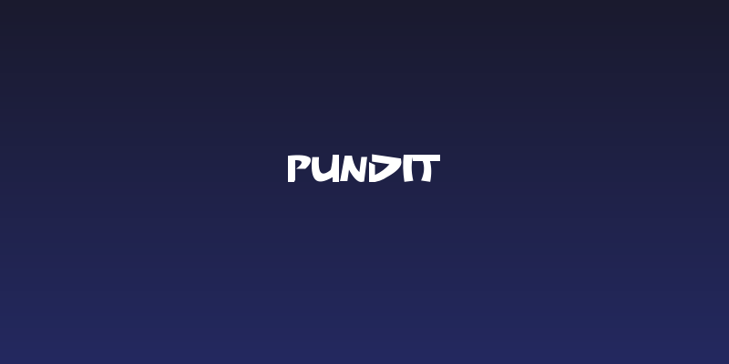 Pundit Social Header