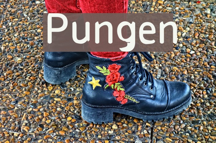 Pungen Font examples