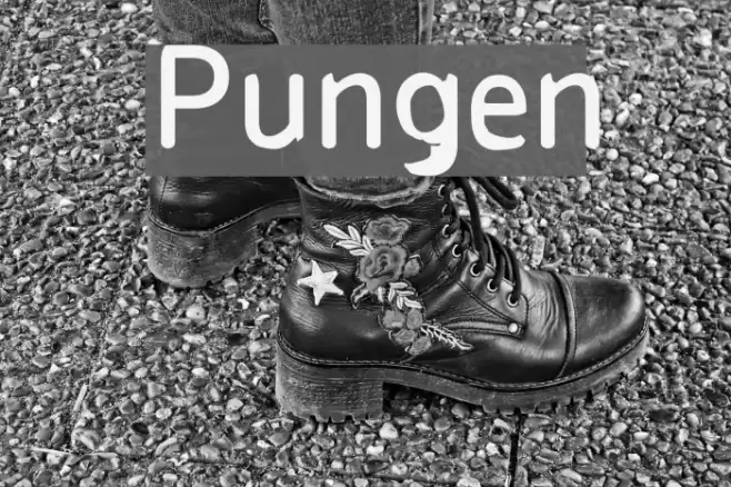Pungen  examples