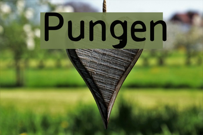 Pungen Font examples