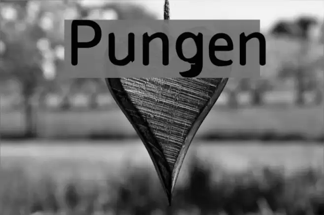 Pungen  examples