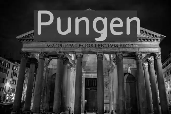 Pungen  examples