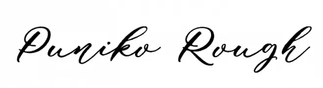 Puniko Rough  Frei Schriftart Herunterladen