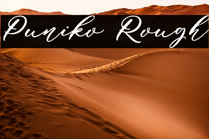 Puniko Rough Example 1