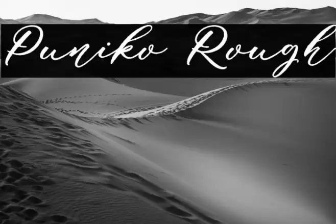 Puniko Rough Font examples