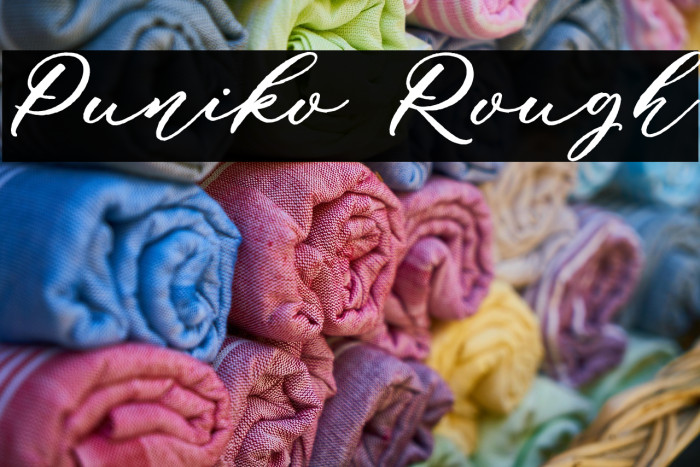 Puniko Rough Example 2