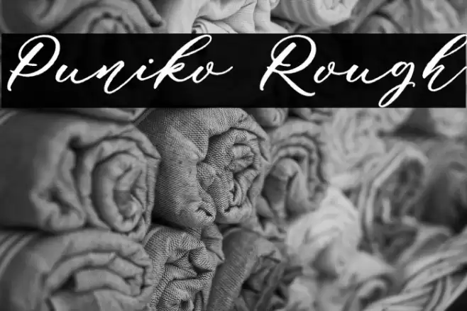 Puniko Rough Font examples