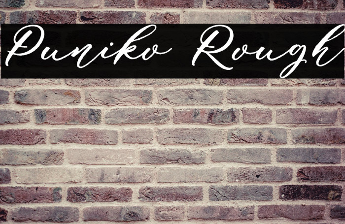 Puniko Rough Example 3