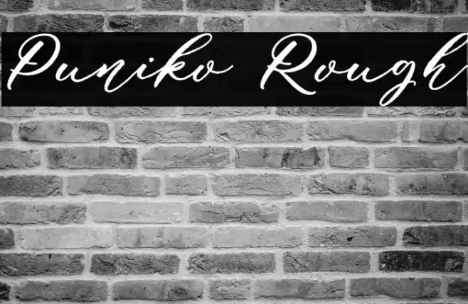 Puniko Rough Font examples