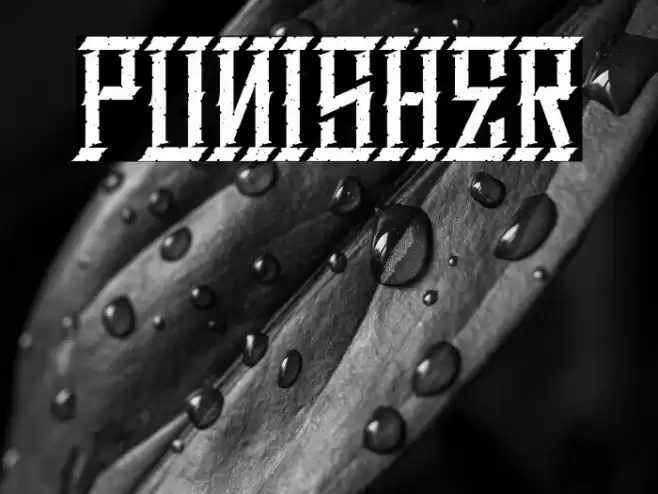 Punisher Font examples