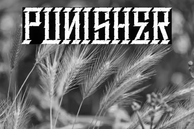 Punisher Font examples