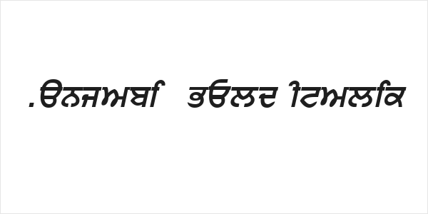 Punjabi  Bold Italic Logo