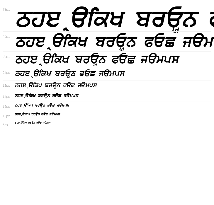 Punjabi  Bold Italic Waterfall