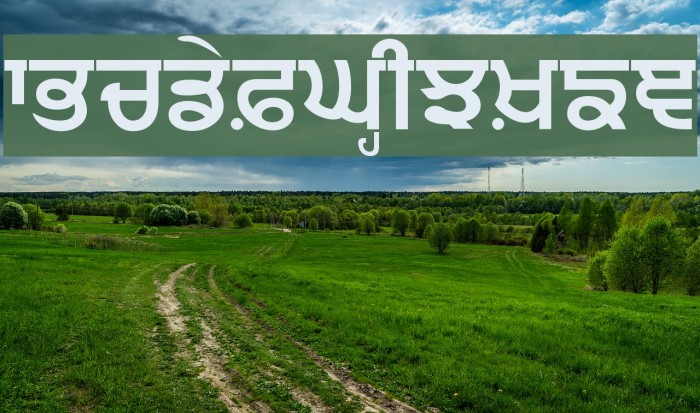 Punjabi Bold Font examples