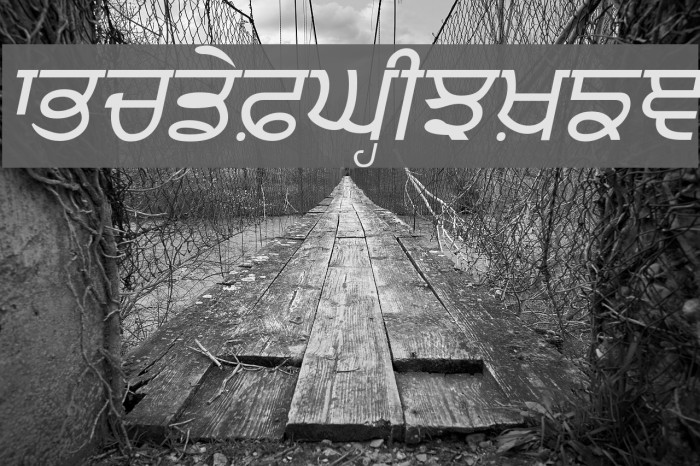 Punjabi Italic Font examples