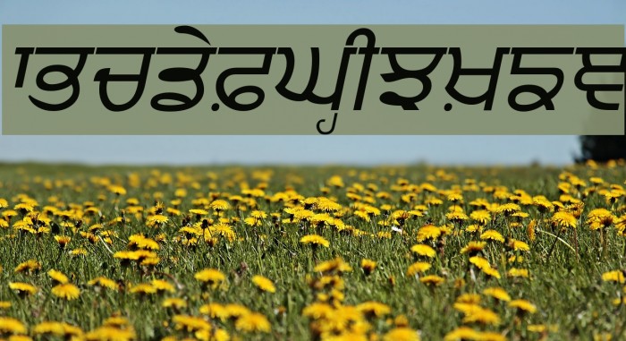Punjabi Italic Font examples