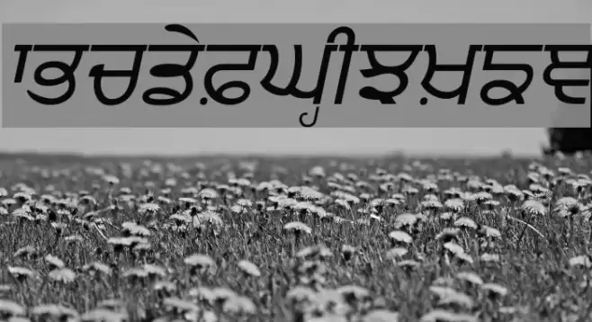 Punjabi  Italic Font examples