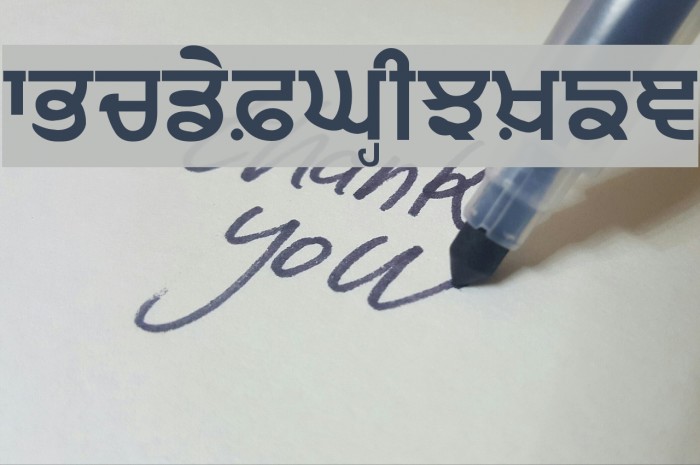 Punjabi Sans Font examples