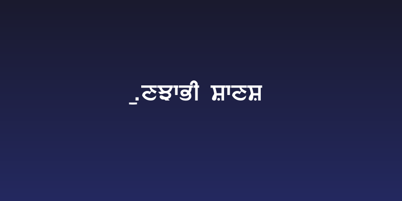 Punjabi Sans Social Header