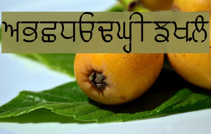 Punjabi Typewriter Engraved Font examples
