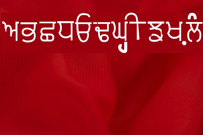 Punjabi Typewriter Old Font examples