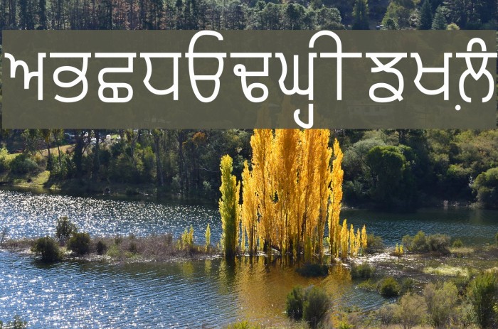 Punjabi Typewriter Font examples