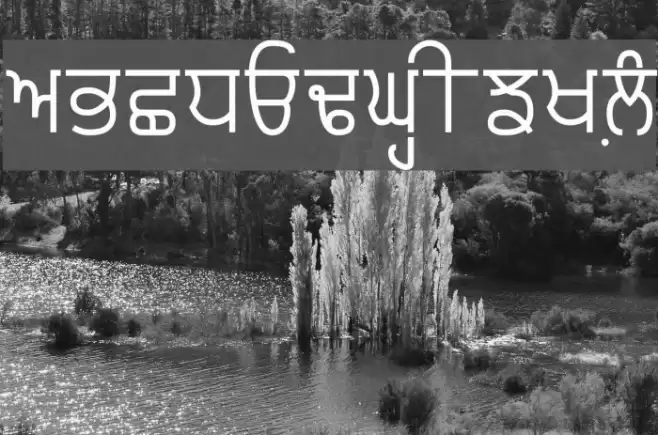Punjabi Typewriter Schriftart examples