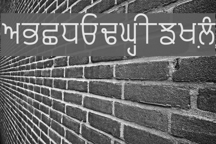 Punjabi Typewriter Font examples